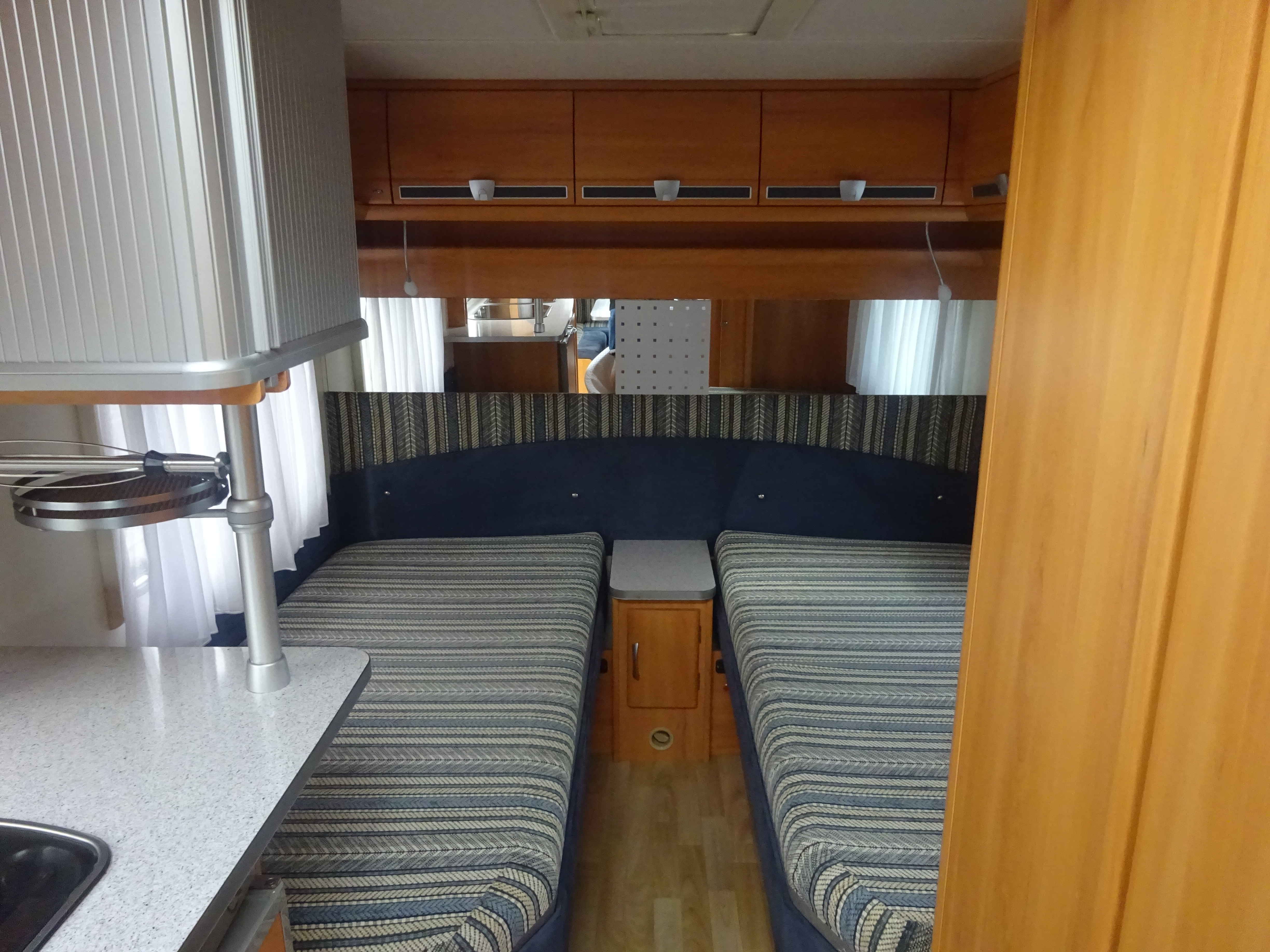 Wilk Blue star GERESERVEERD foto: 14