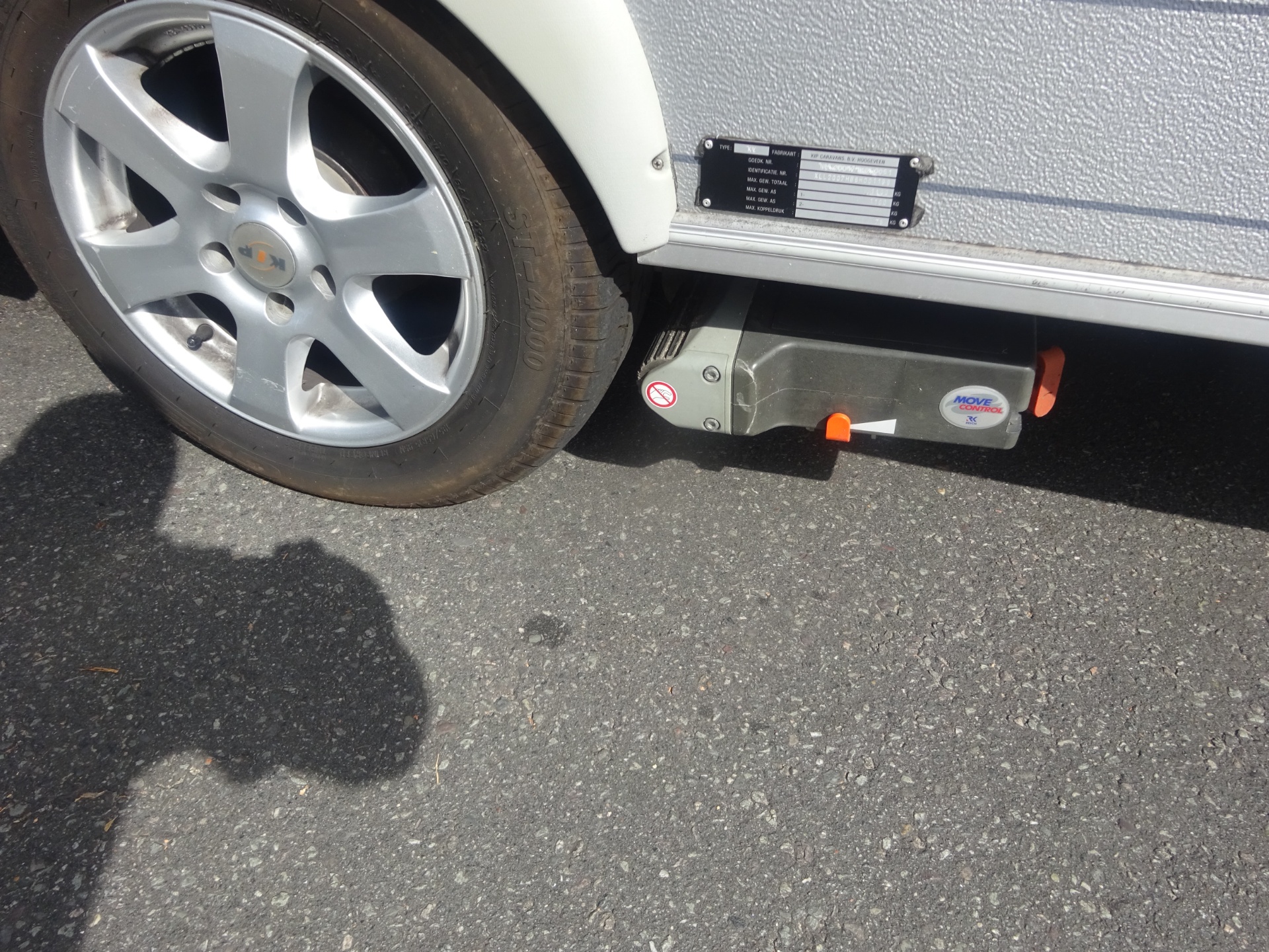 Kip Vision GERESERVEERD foto: 6