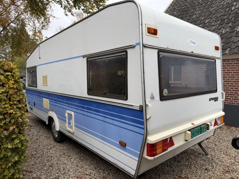 Polar 550 GLE High Back  foto: 9