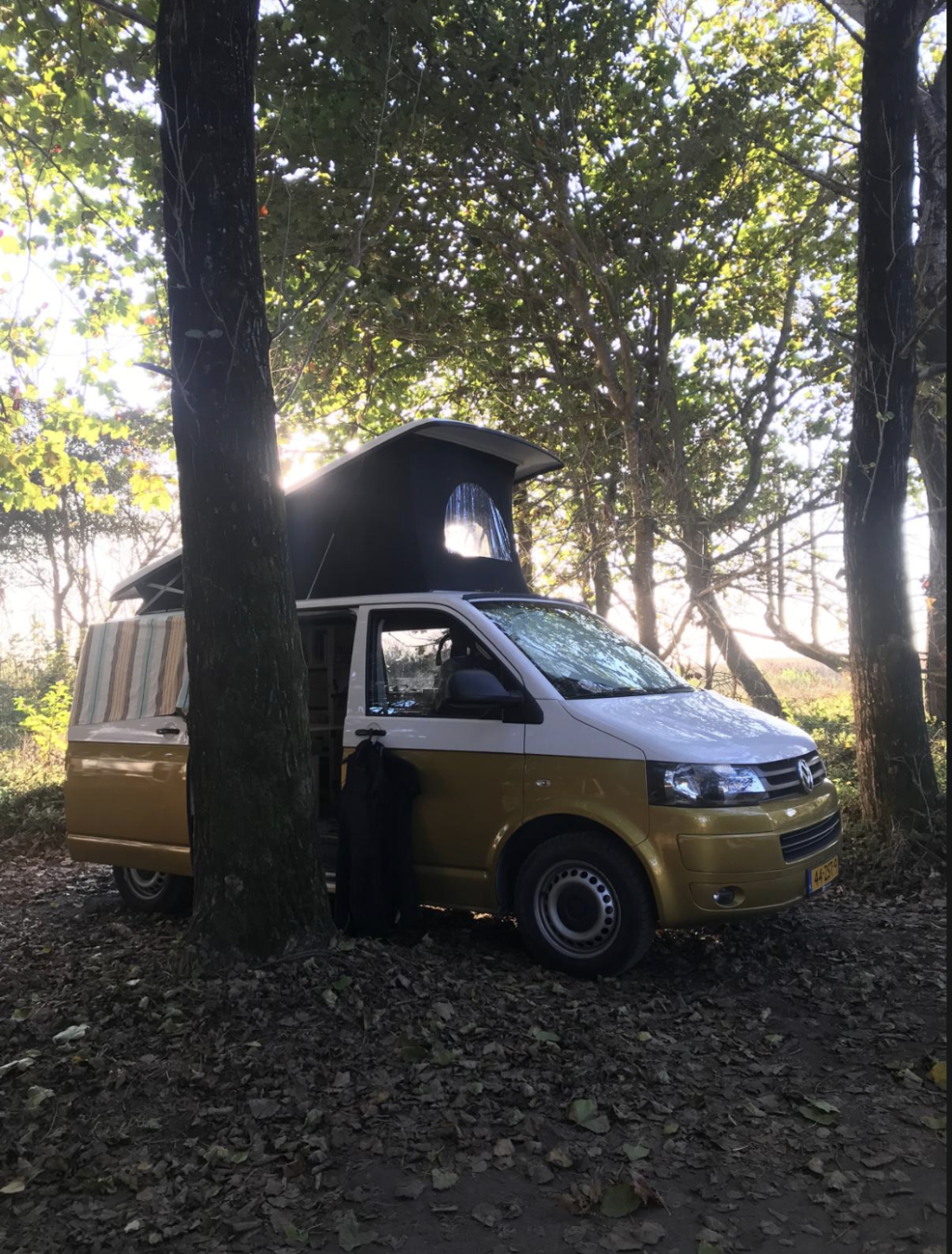 VOLKSWAGEN TRANSPORTER foto: 14