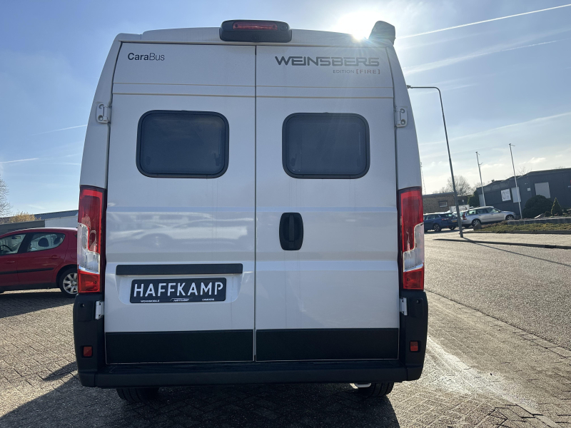 Weinsberg CaraBus 600 MQ 360 park|5 gordels|lion  foto: 3