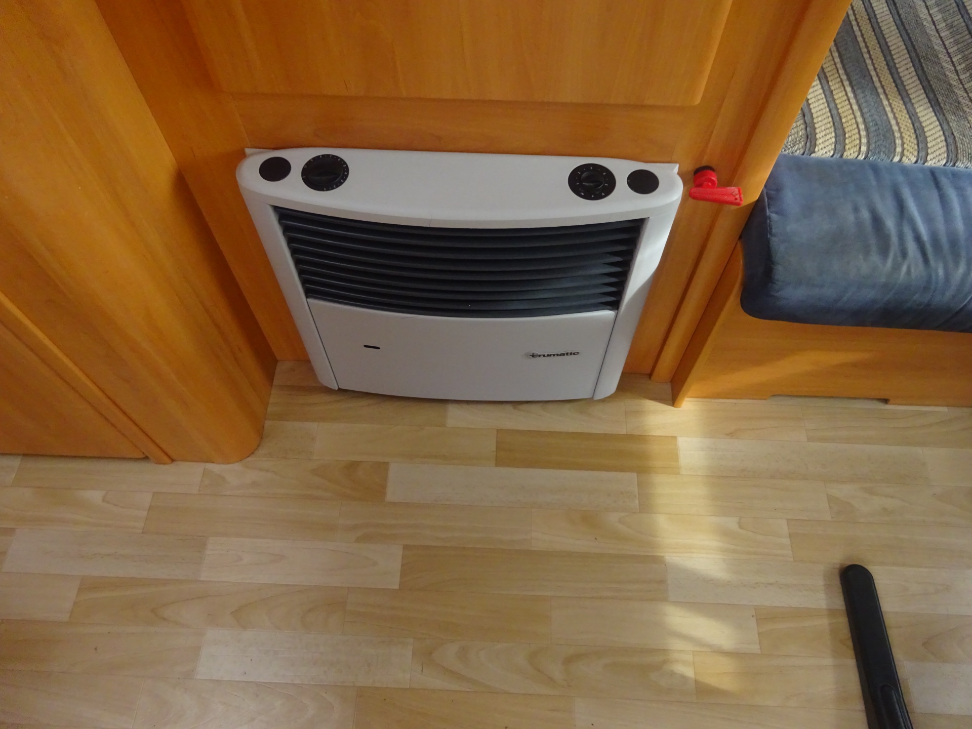 Wilk Blue star GERESERVEERD foto: 19