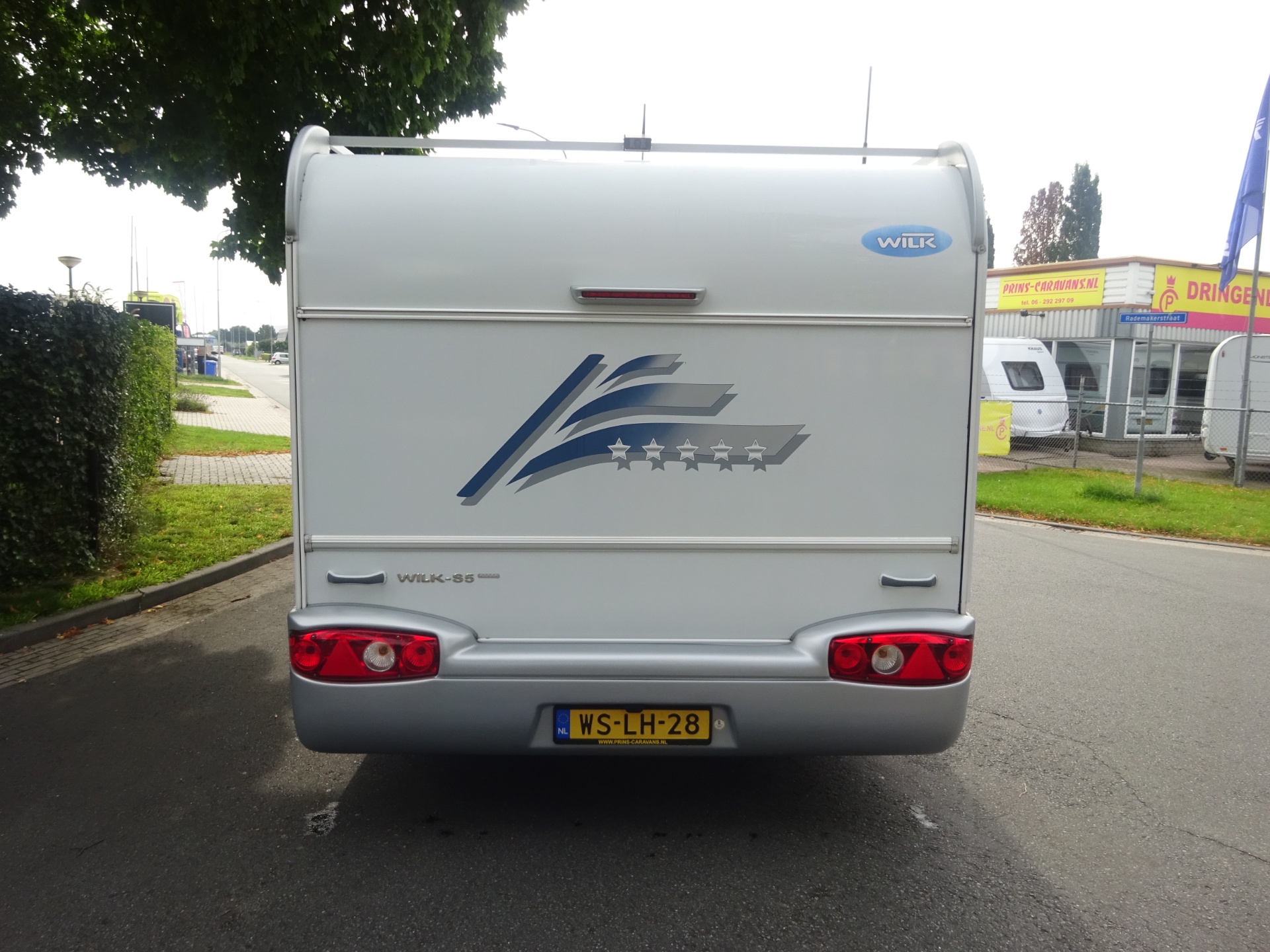 Wilk Blue star GERESERVEERD