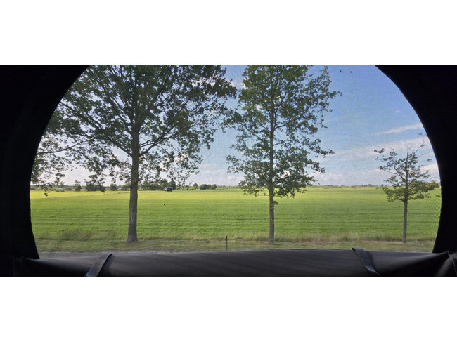 Hymer Yosemite 600 * AUTOMATIK * Längsbetten * Hubdach Foto: 19