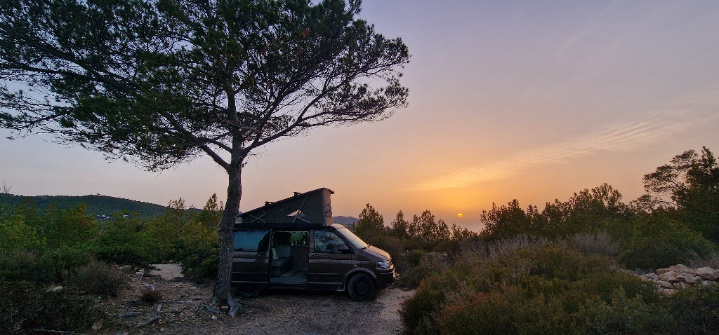 VOLKSWAGEN CALIFORNIA photo: 2
