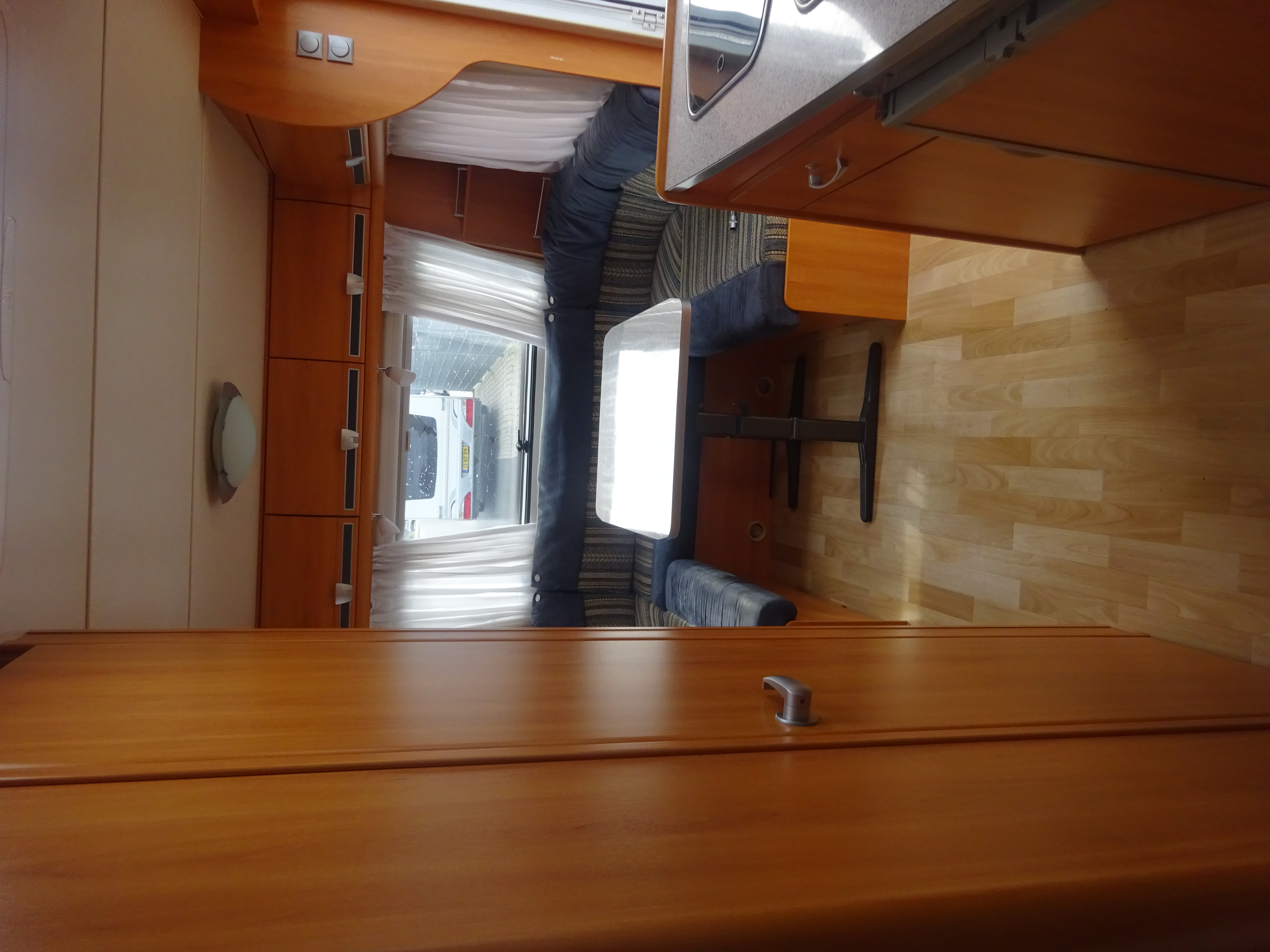 Wilk Blue star GERESERVEERD foto: 12