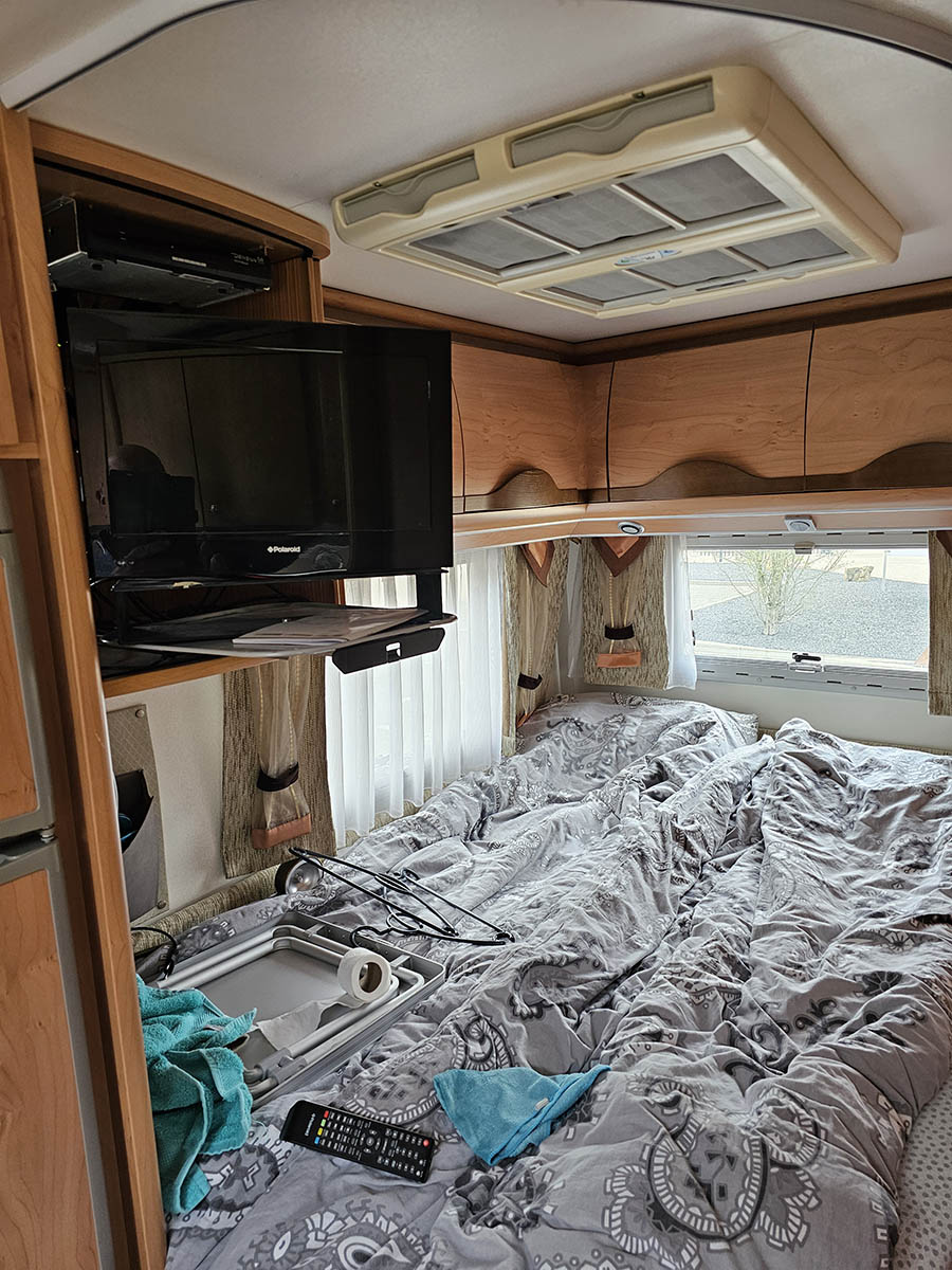 Buerster Teilintergrier foto: 4
