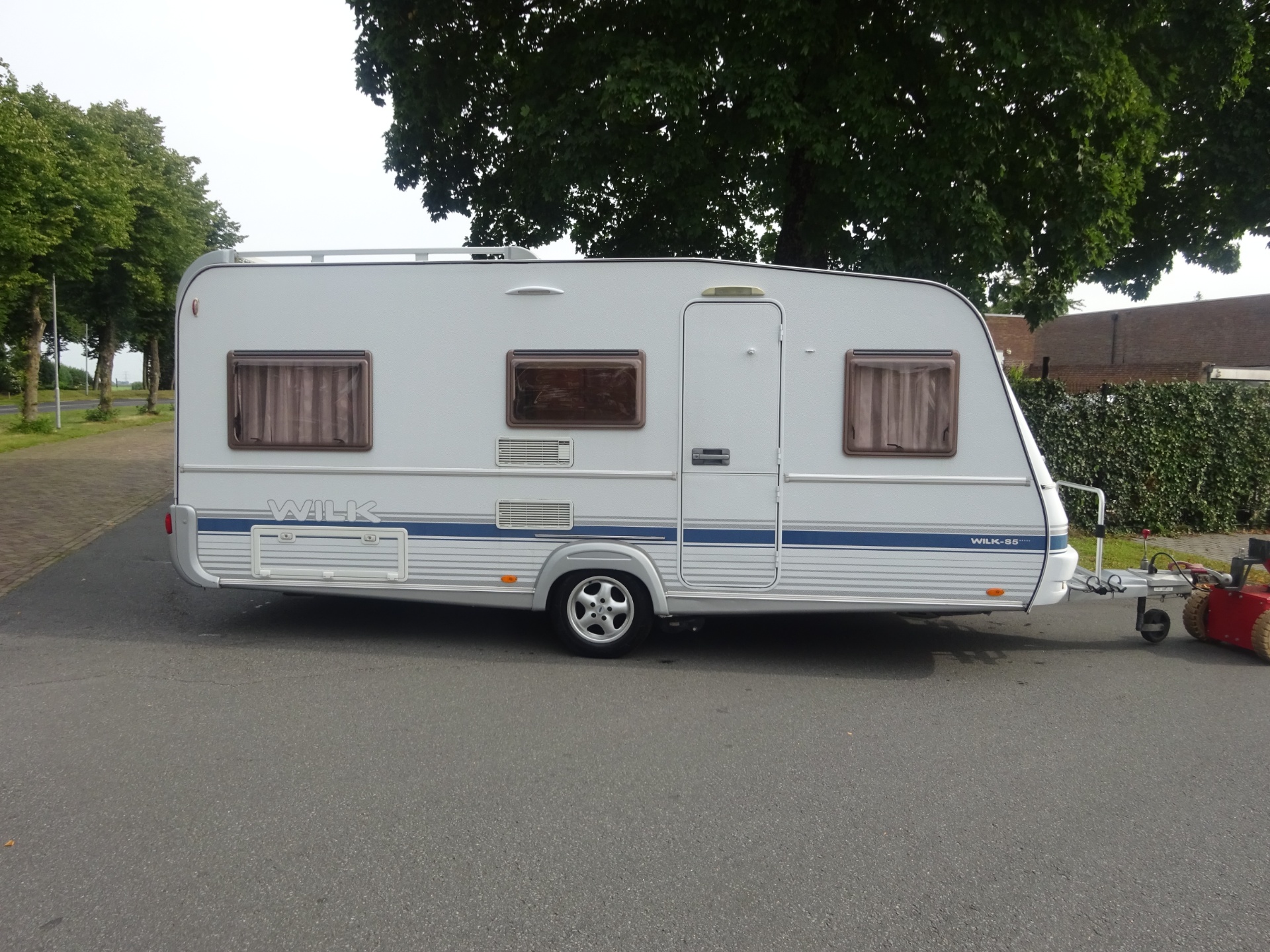 Wilk Blue star GERESERVEERD foto: 7