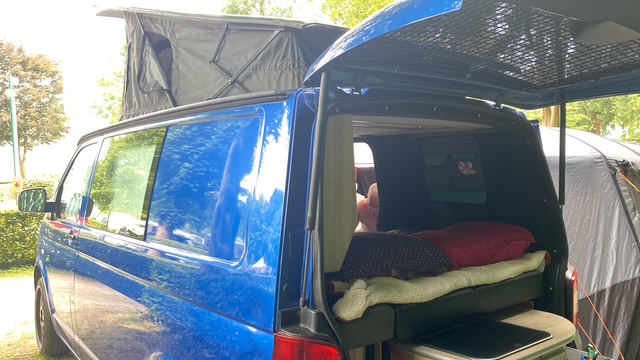 VOLKSWAGEN TRANSPORTER  D 62 KW foto: 13