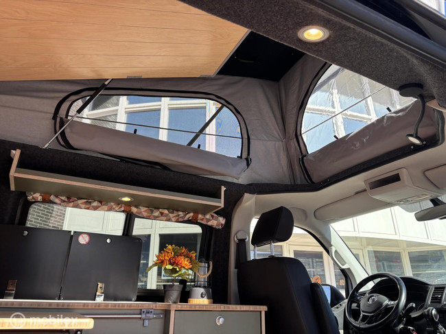 Volkswagen T6 2019 Nevada L1H1 zweifarbig Foto: 12
