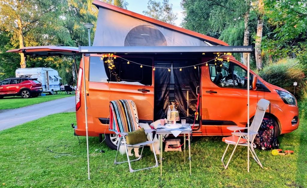 Ford Nugget Westfalia photo: 17