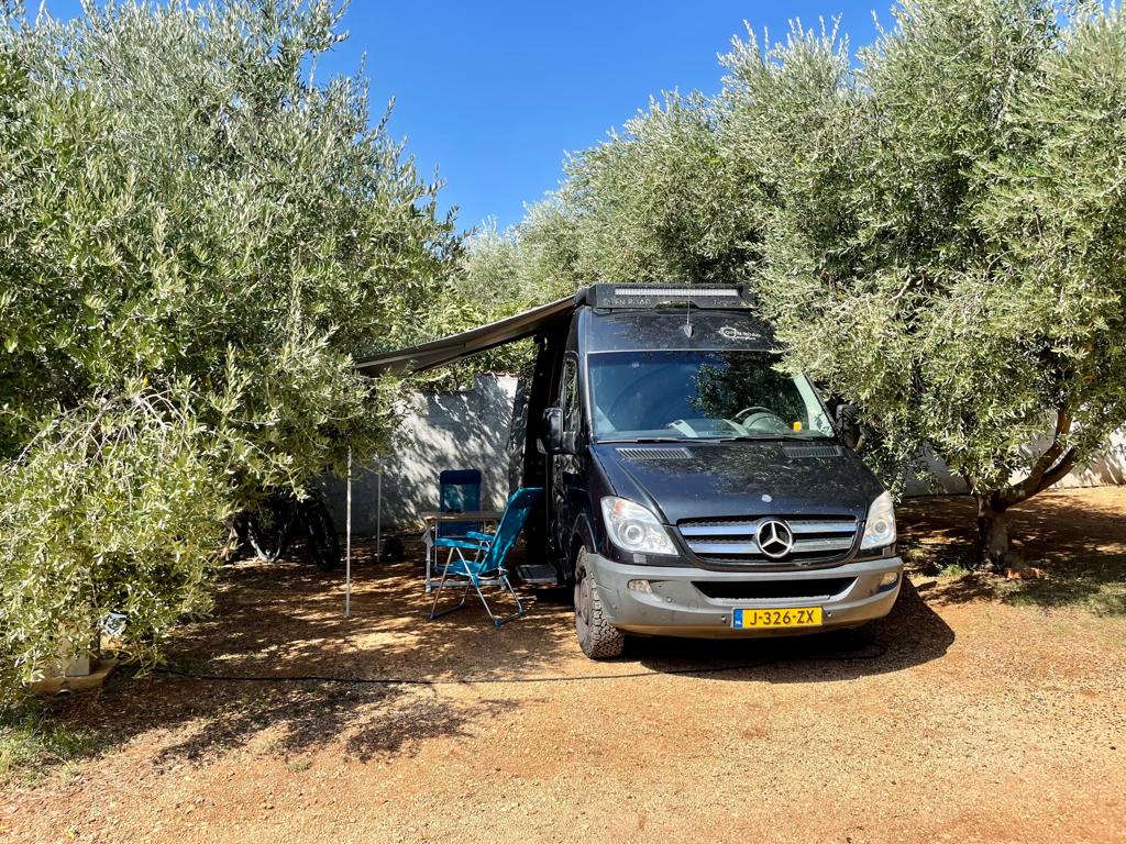 Mercedes Sprinter 316 foto: 1