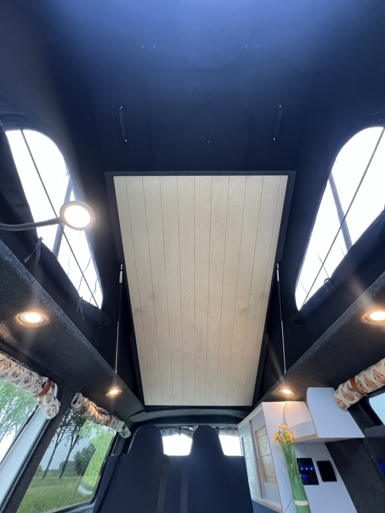 Volkswagen T6 Florida 2019 two-tone foto: 17