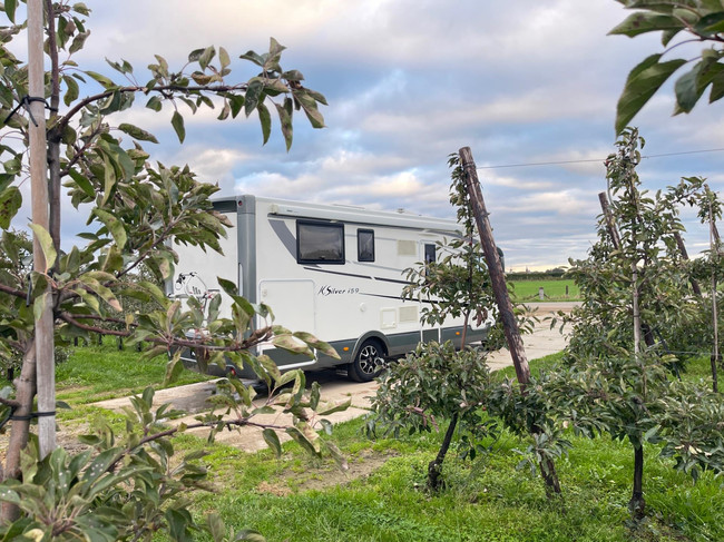 Mobilvetta K-SILVER I-59 Euro 6 Cama Queen + Cama abatible, Aire acondicionado, TV, Portabicicletas foto: 5