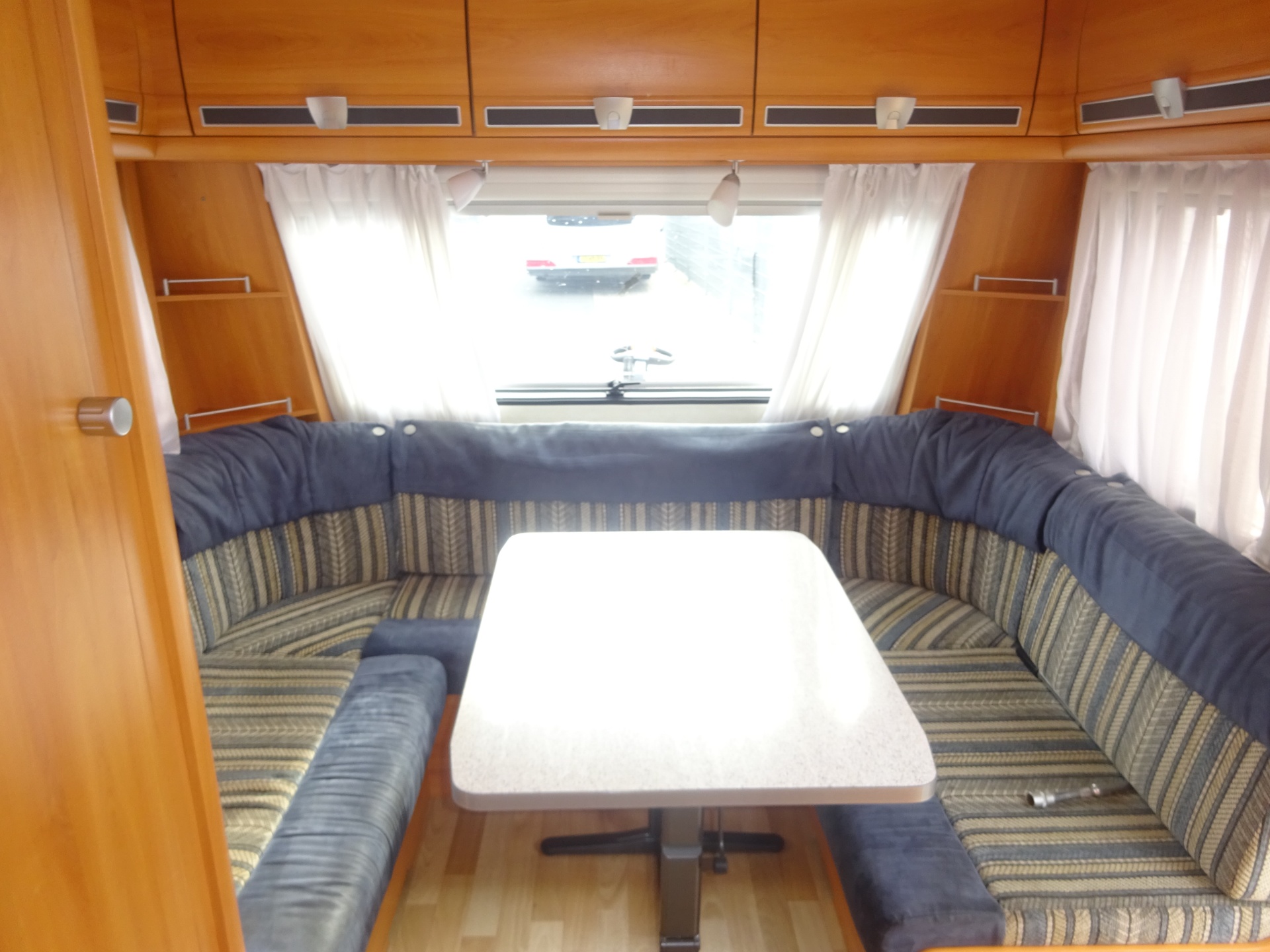 Wilk Blue star GERESERVEERD foto: 11