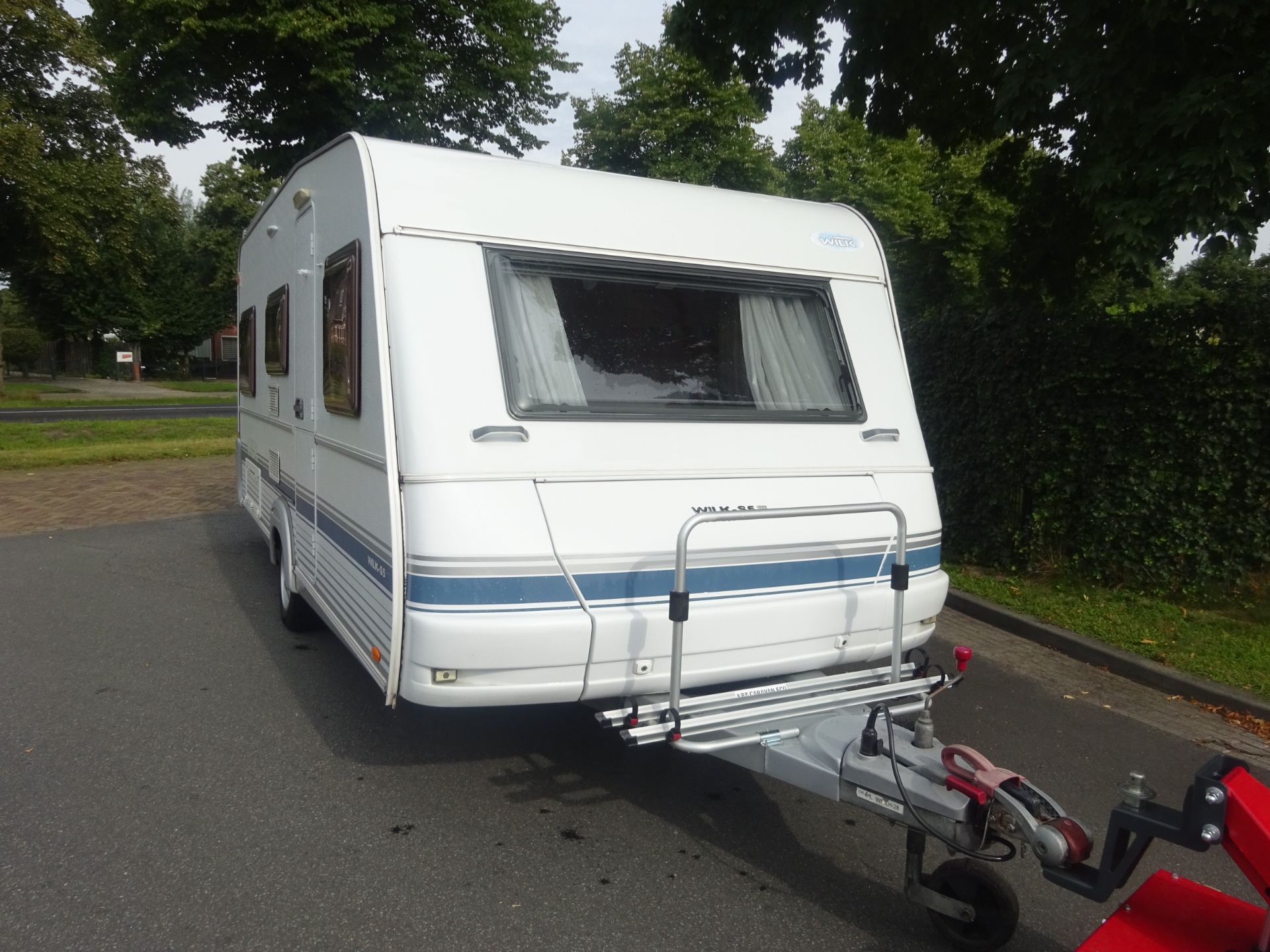 Wilk Blue star GERESERVEERD foto: 9