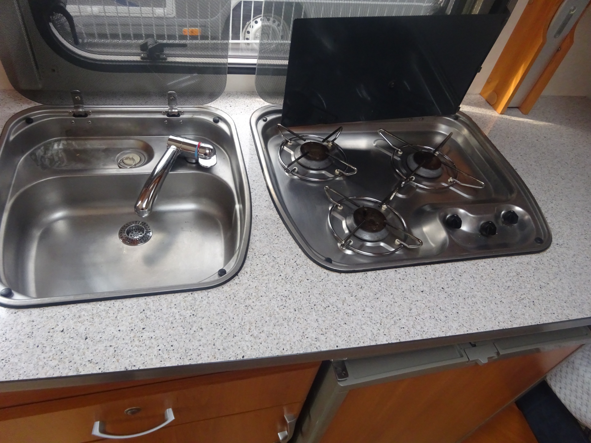 Wilk Blue star GERESERVEERD foto: 17