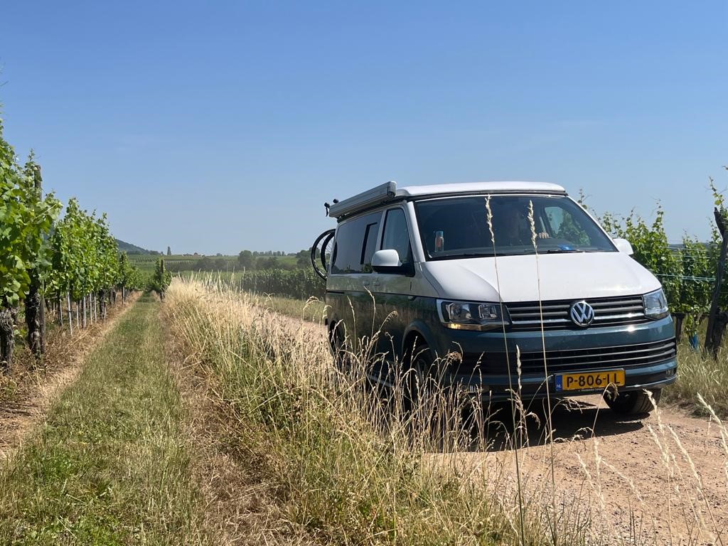 VOLKSWAGEN  foto: 13