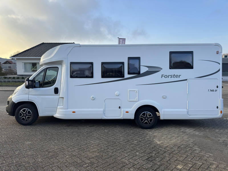 Forster T 745 EF Face 2 Face|el,fiets|bear  foto: 7