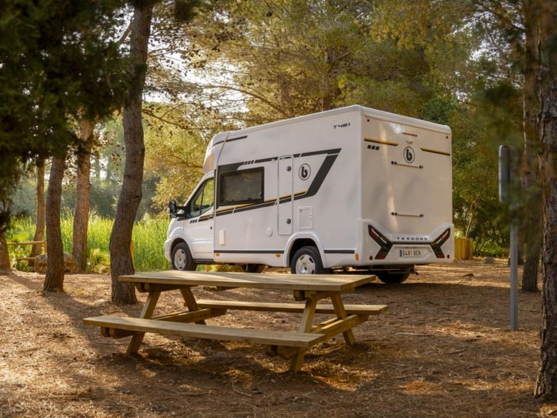 Benimar Tessoro 481 modelo base 2026 foto: 17