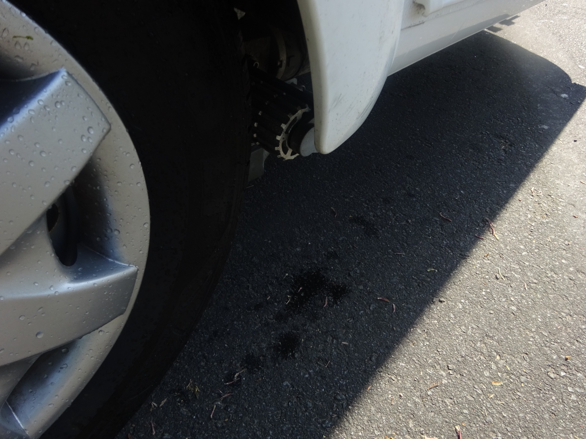 Bürstner Averso 395TS Vast Bed/Treinzit/Mover foto: 6