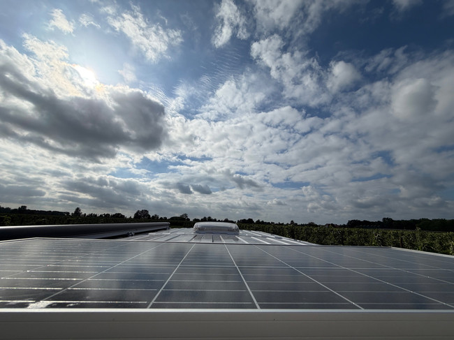 P&ouml;ssl Roadcruiser 2 A&Ntilde;OS DE GARANT&Iacute;A / Autom&aacute;tico de 9 velocidades 2024 Solar / AllSeasons / Navi / Portabicicletas giratorio foto: 21