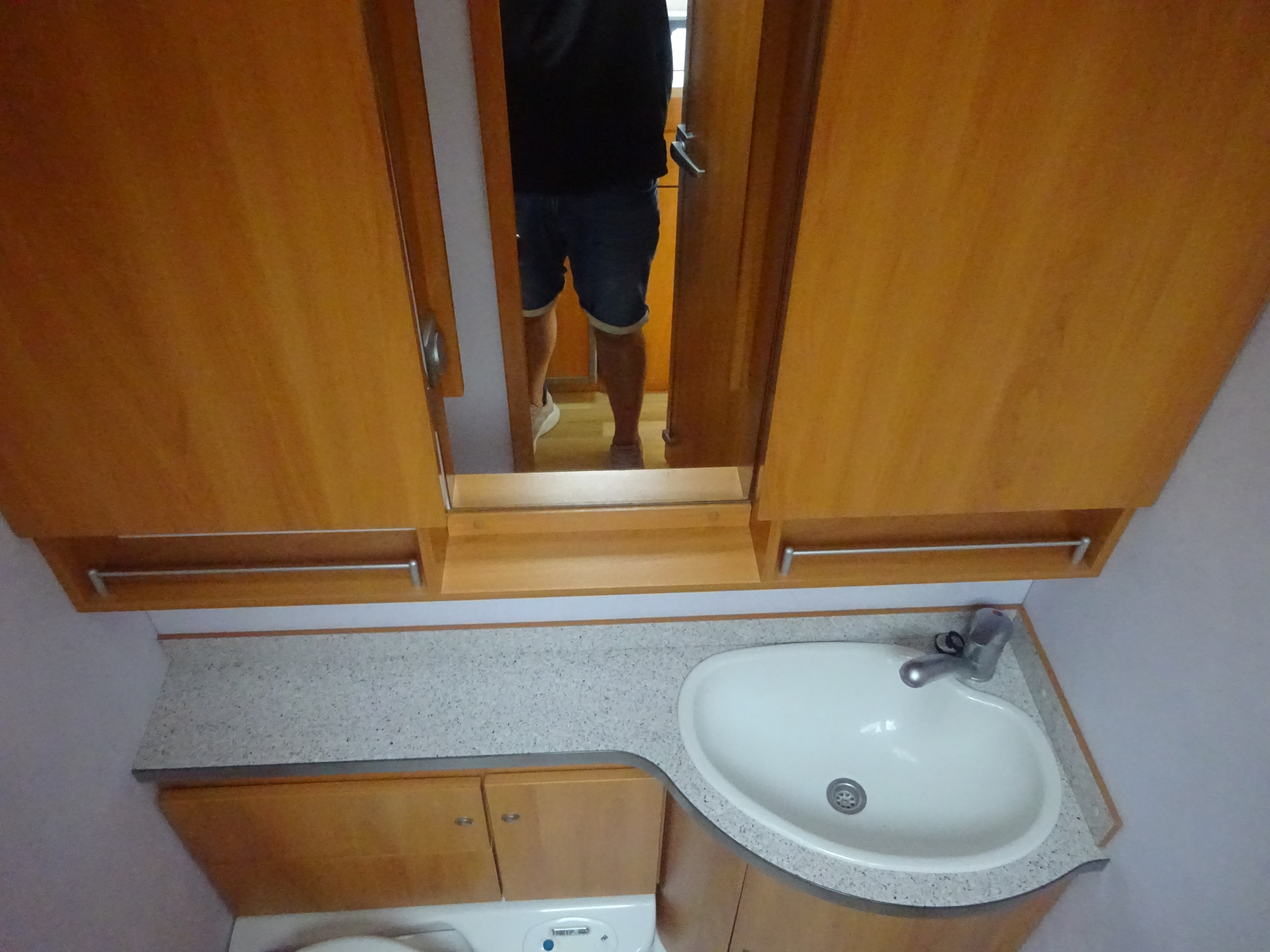 Wilk Blue star GERESERVEERD foto: 21