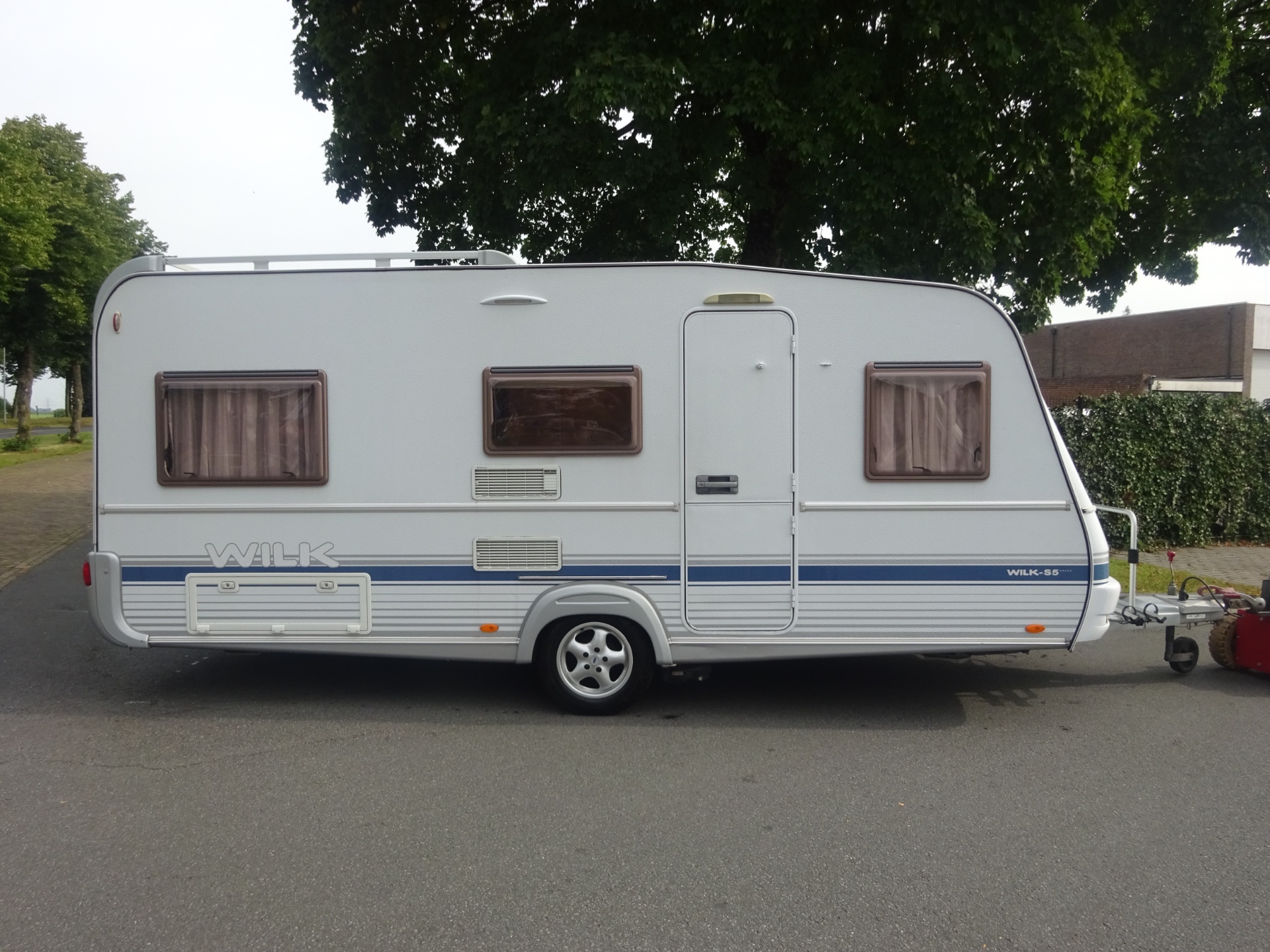 Wilk Blue star GERESERVEERD foto: 6