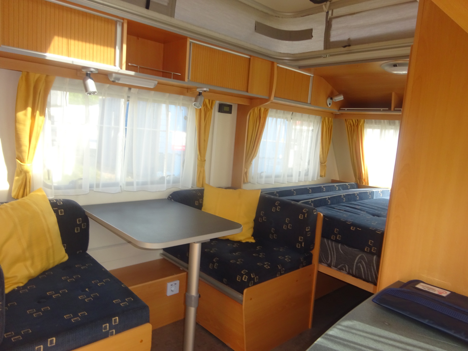 Kip Vision GERESERVEERD foto: 10