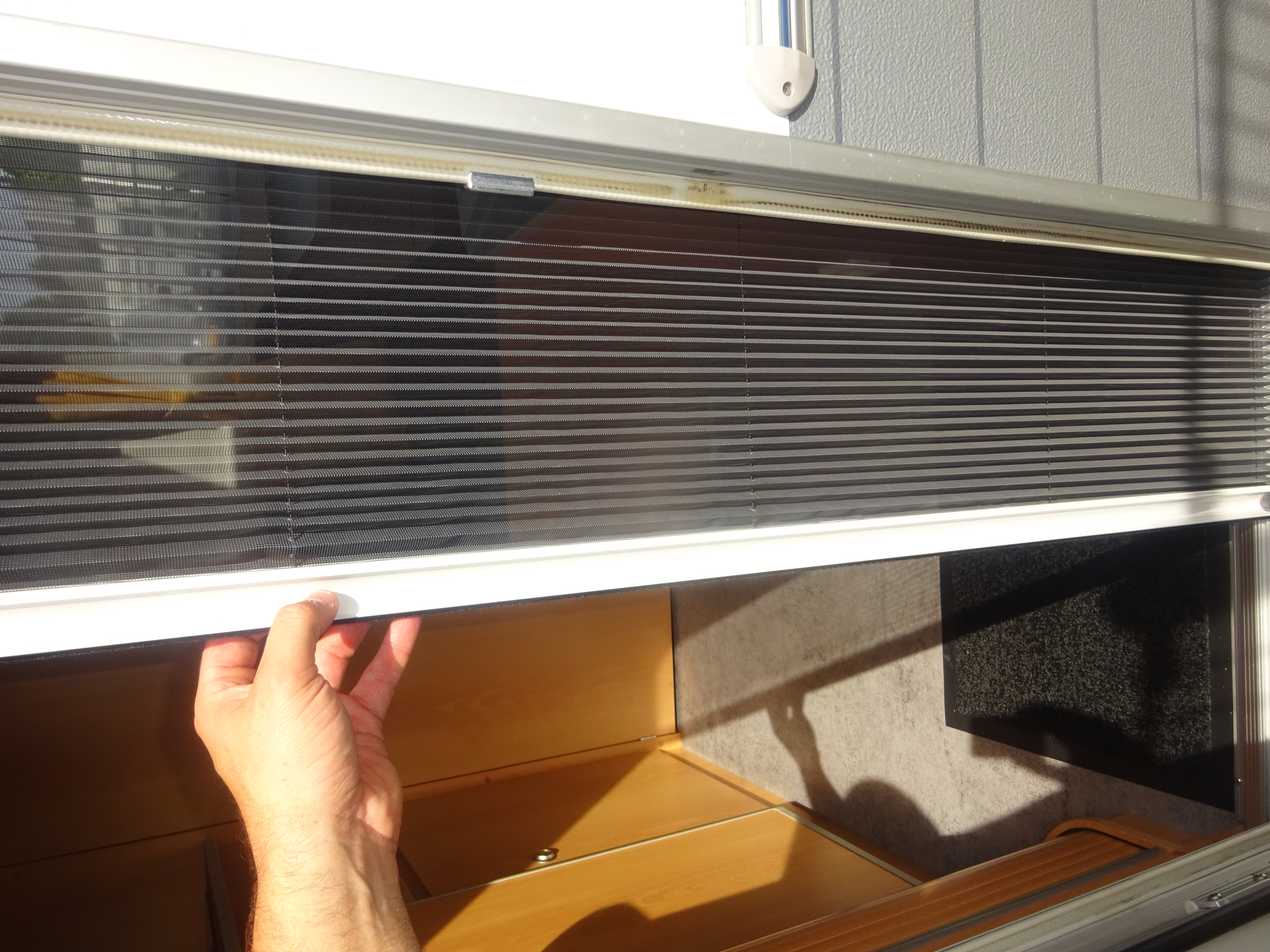 Kip Vision GERESERVEERD foto: 21