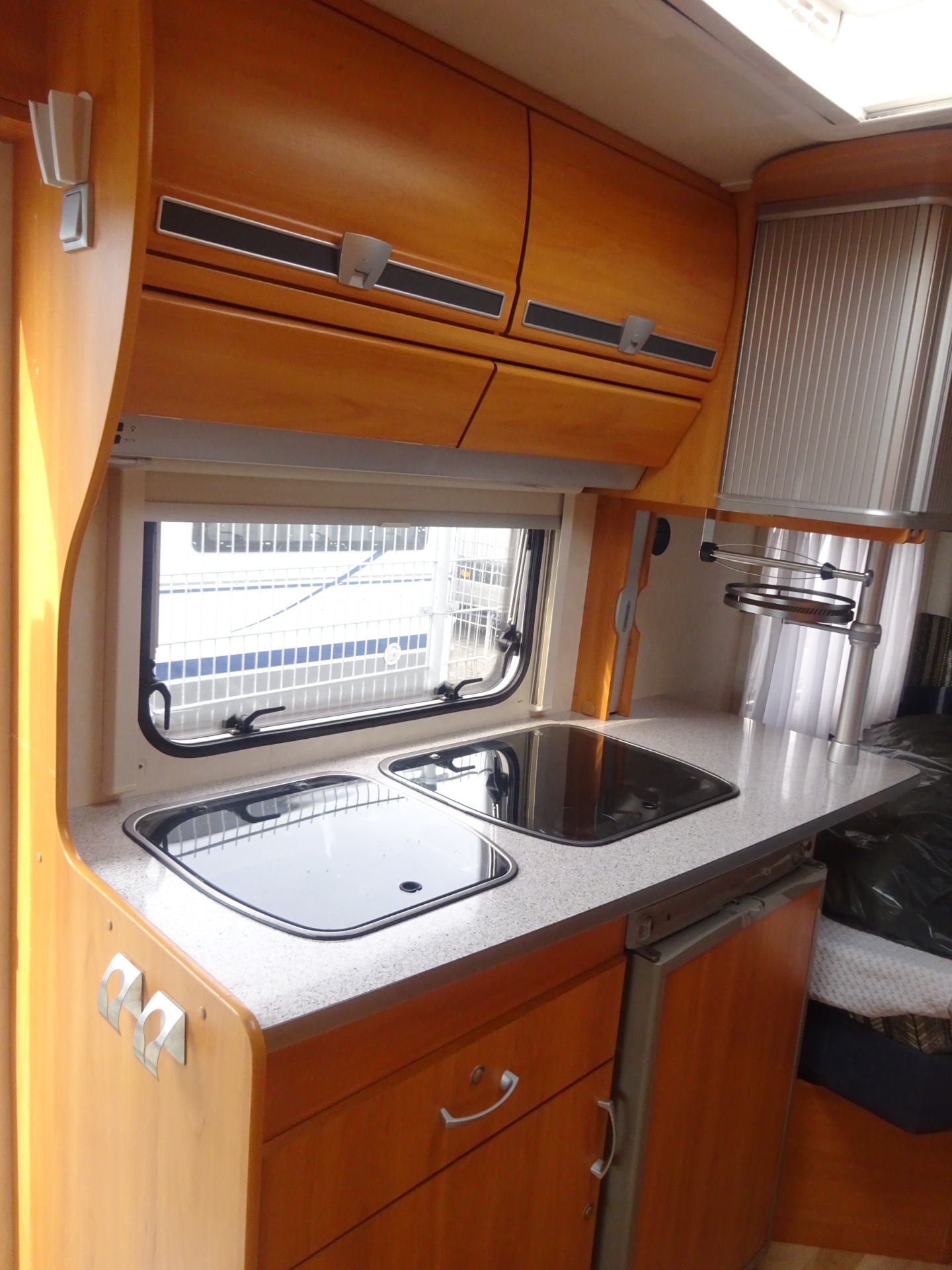 Wilk Blue star GERESERVEERD foto: 15