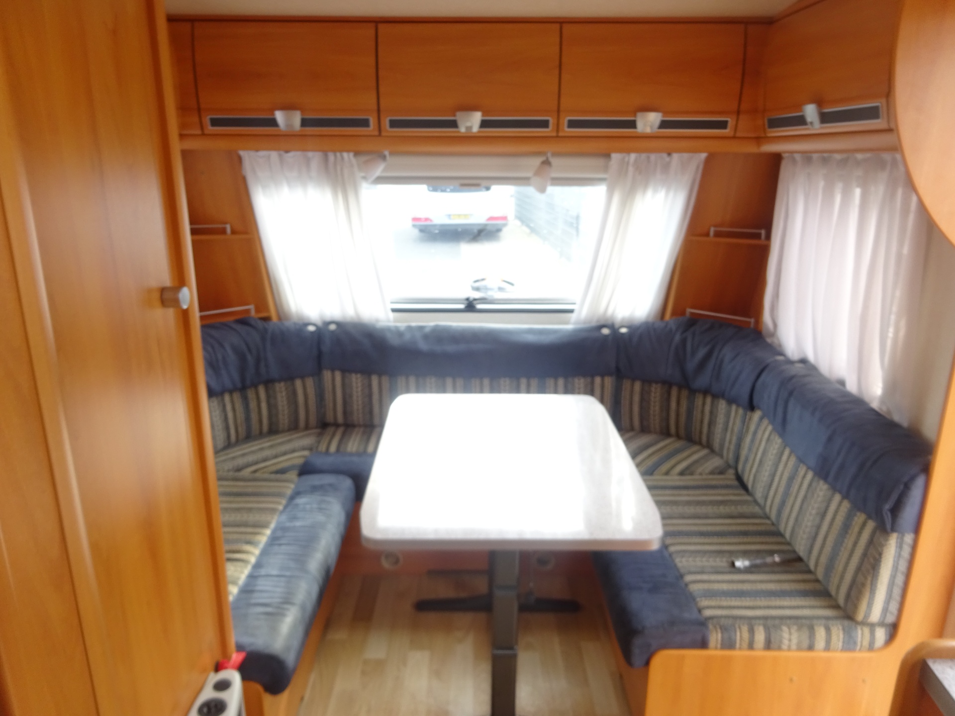 Wilk Blue star GERESERVEERD foto: 10