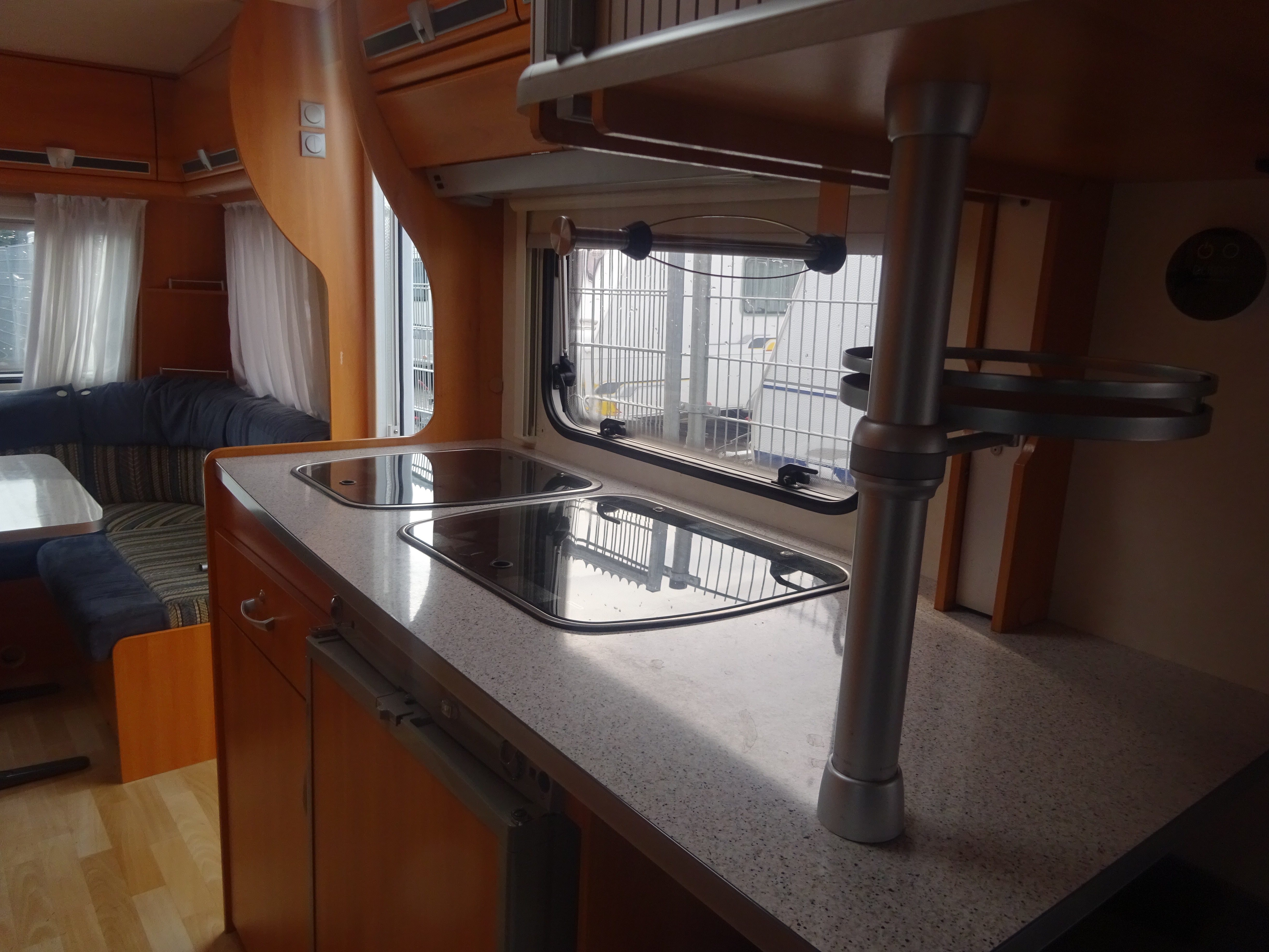 Wilk Blue star GERESERVEERD foto: 18