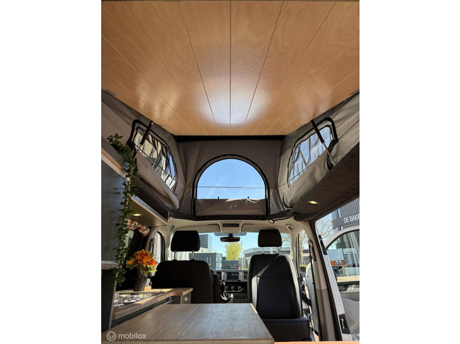 Volkswagen T6 2019 Nevada L1H1 zweifarbig Foto: 4