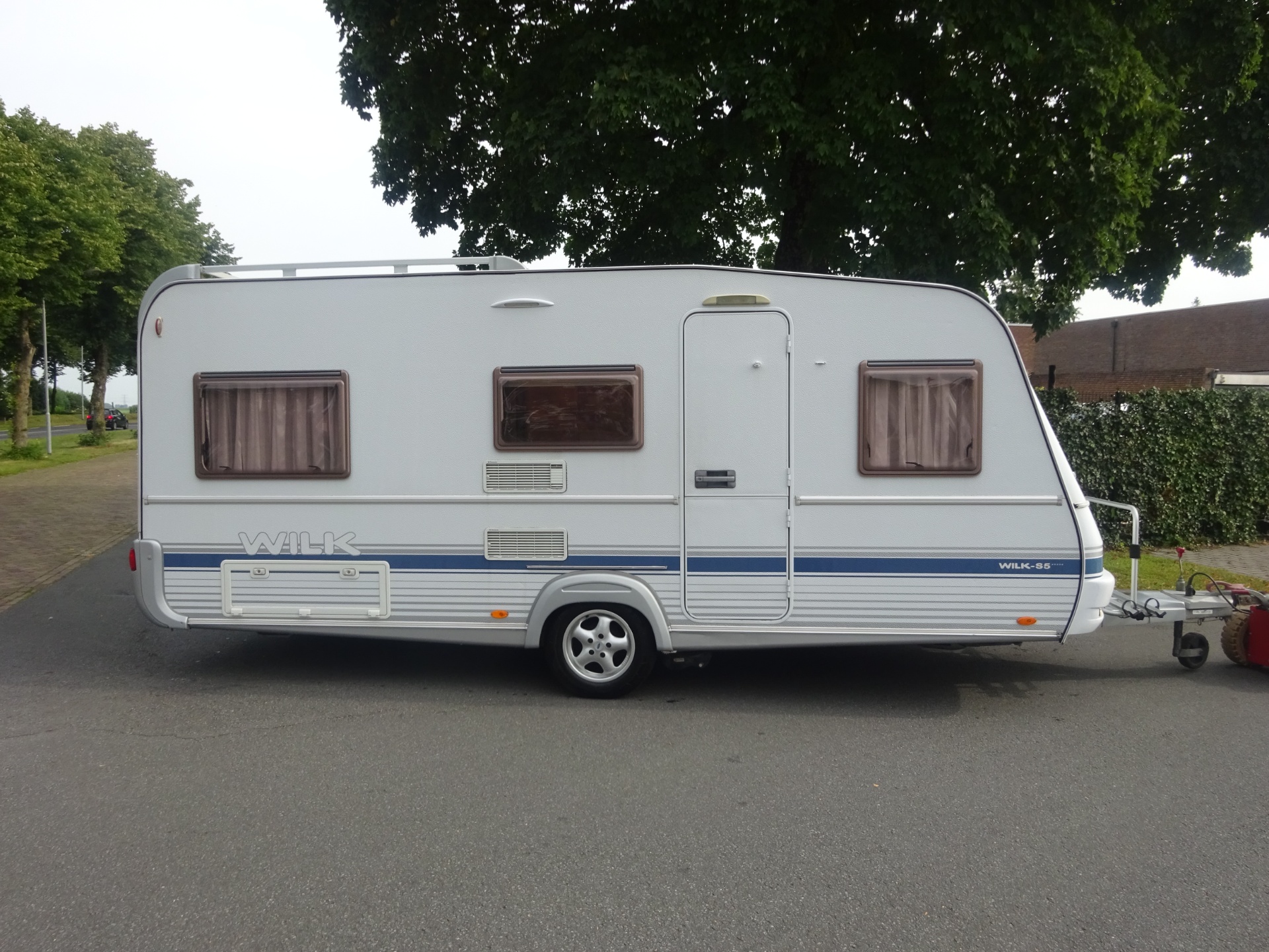 Wilk Blue star GERESERVEERD foto: 2