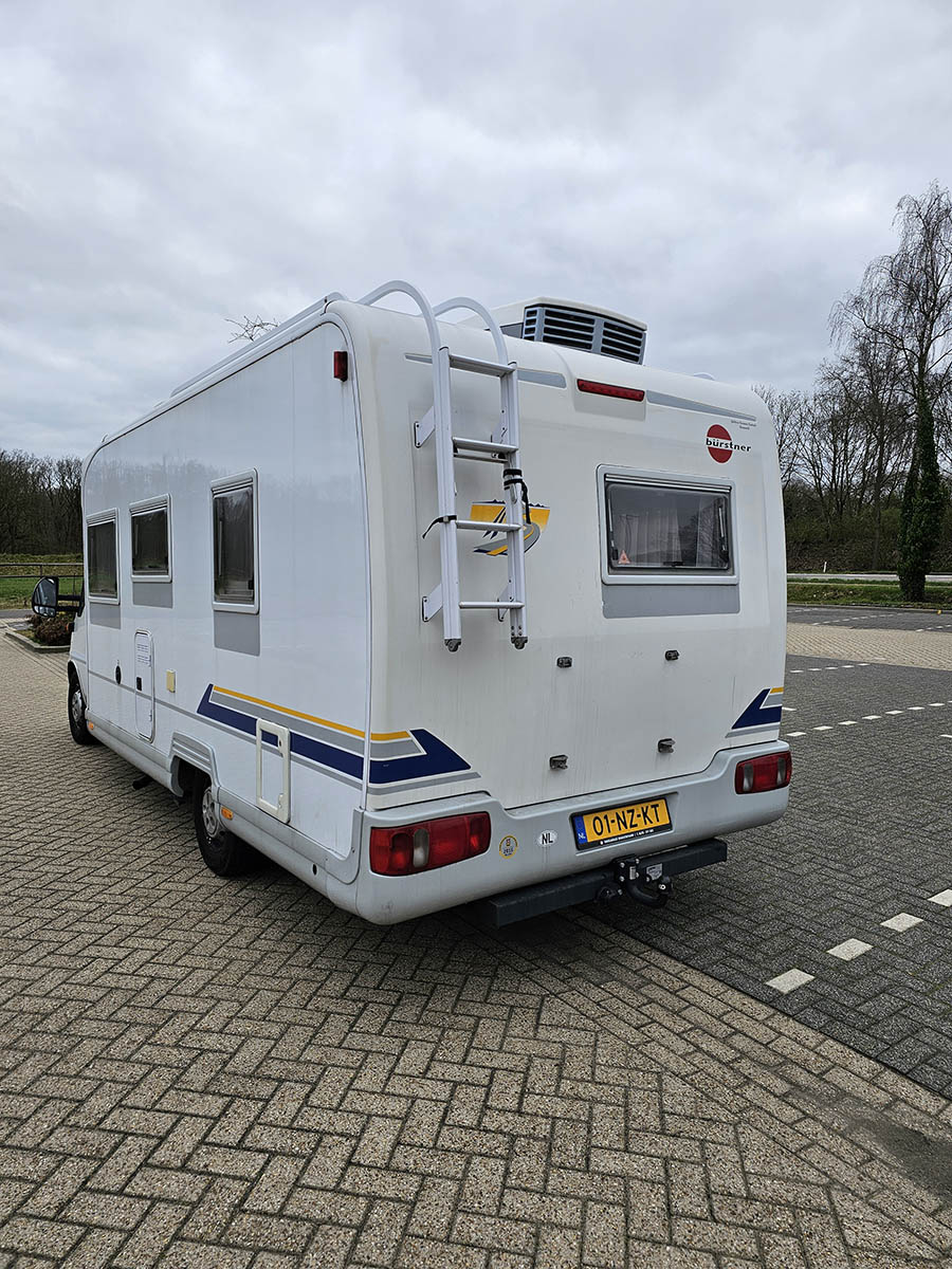 Buerster Teilintergrier foto: 1