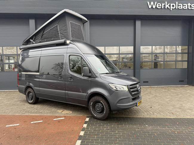 Leaf 4 Sprinter met Hefdak foto: 4