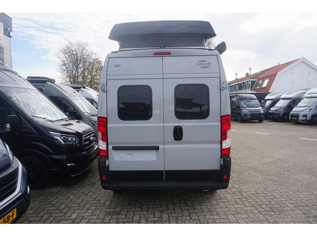 Carado CV 541 Pro Fiat foto: 6