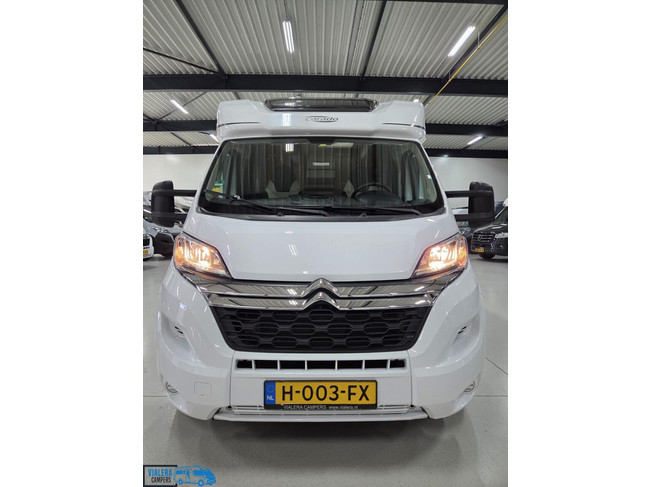Carado T 447 foto: 21
