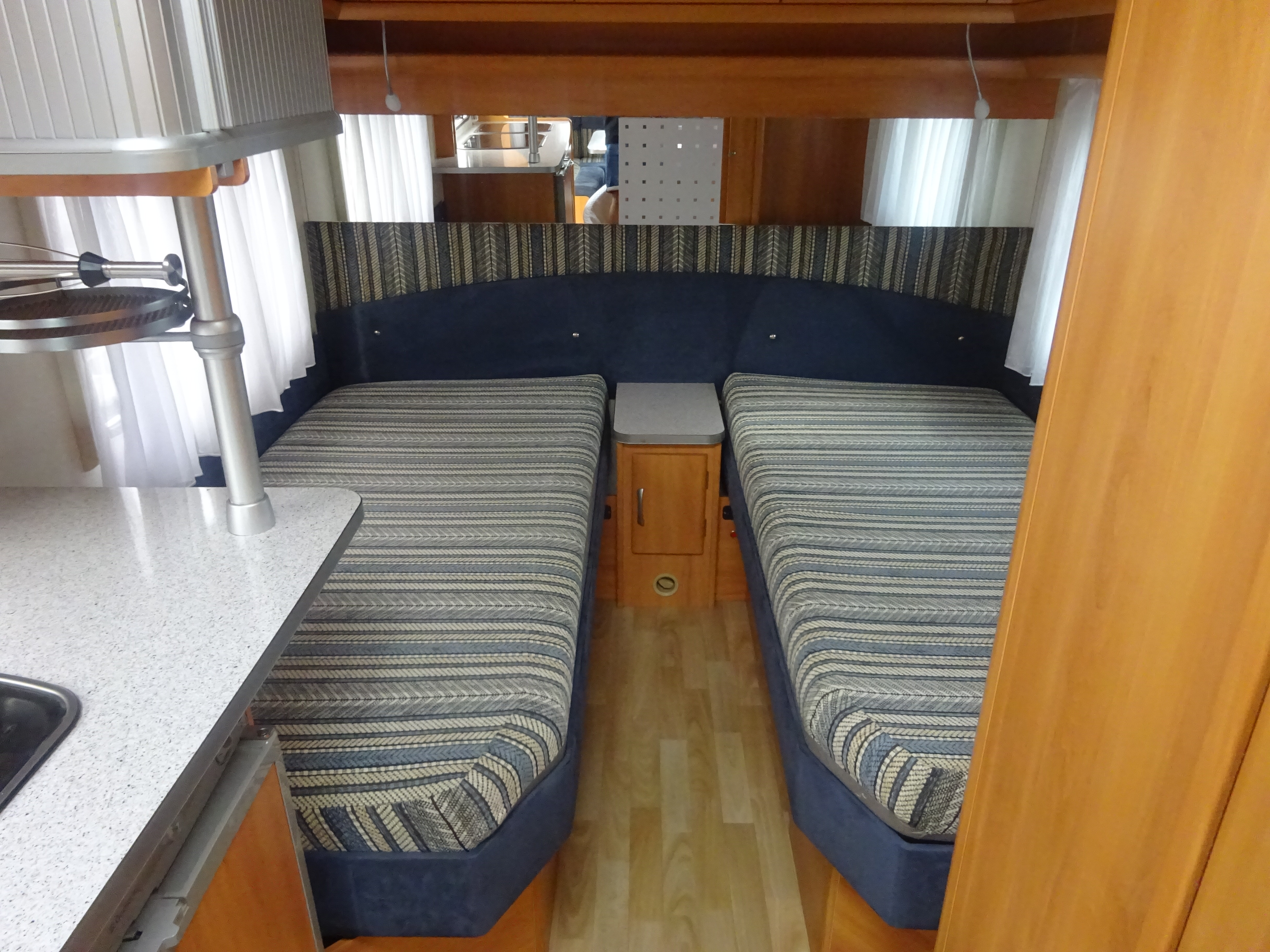 Wilk Blue star GERESERVEERD foto: 13