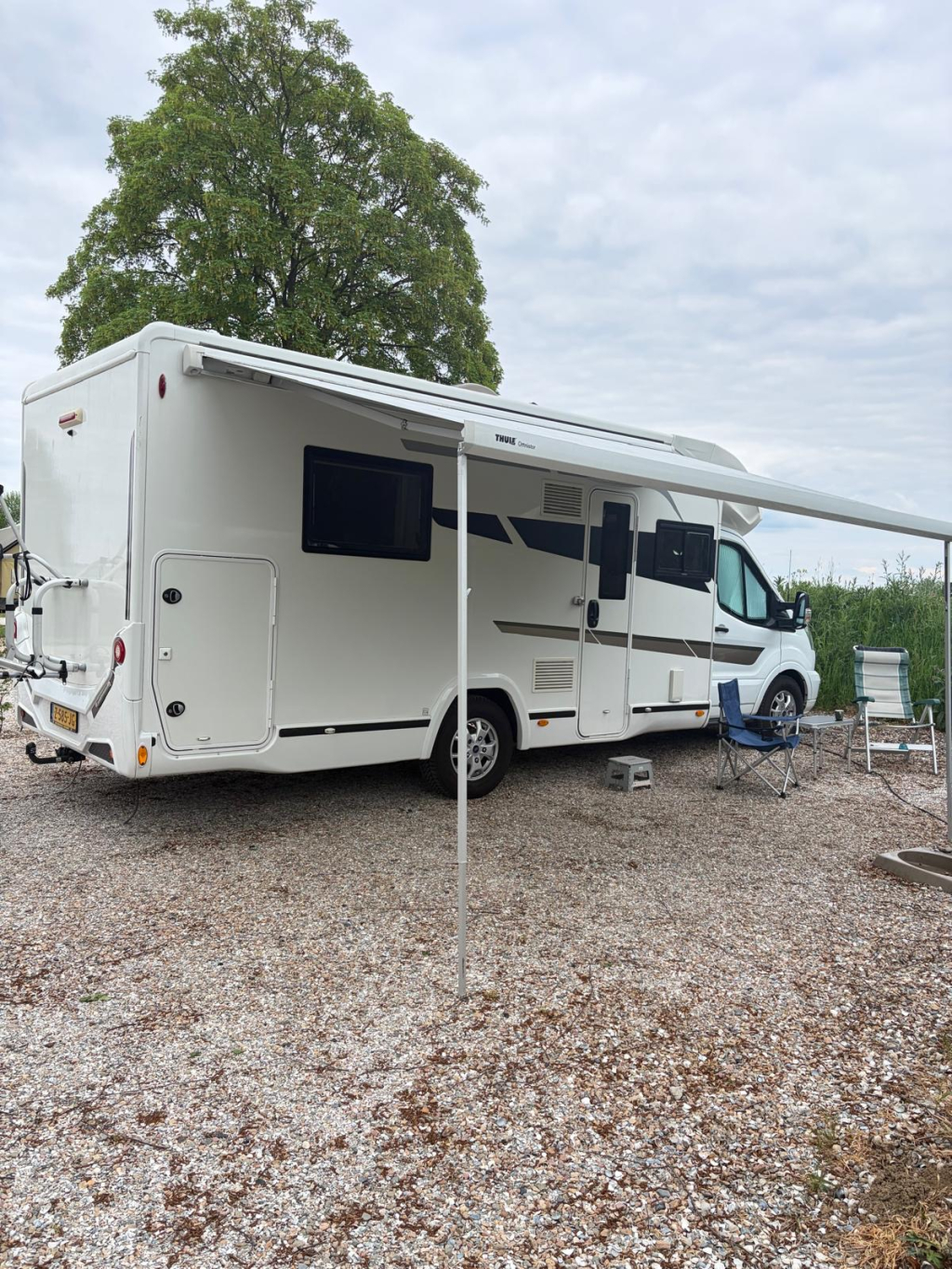BENIMAR TESSORO 494 foto: 13